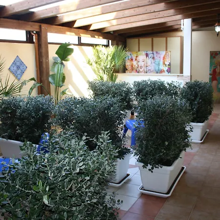 Guest house Aloe San Vito Lo Capo